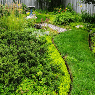Landscape Design